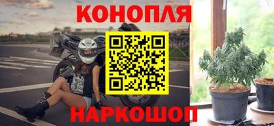 трава Кунгур
