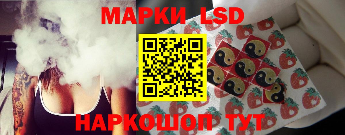 Кропоткин  LSD-25 экстази кислота  Вход с VPN 