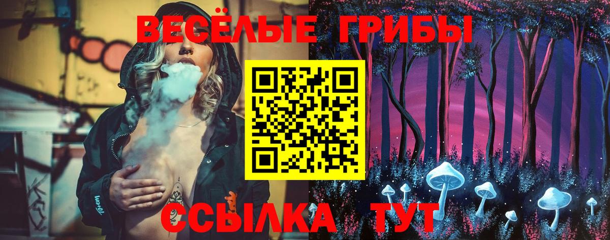 Псилоцибиновые грибы мицелий Кропоткин